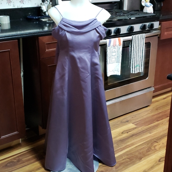 Michaelangelo Other - David's Bridal Formal Dress- Great for Daddy/Daughter Dance